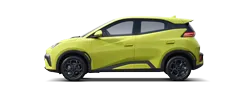 Dolphin Surf BYD