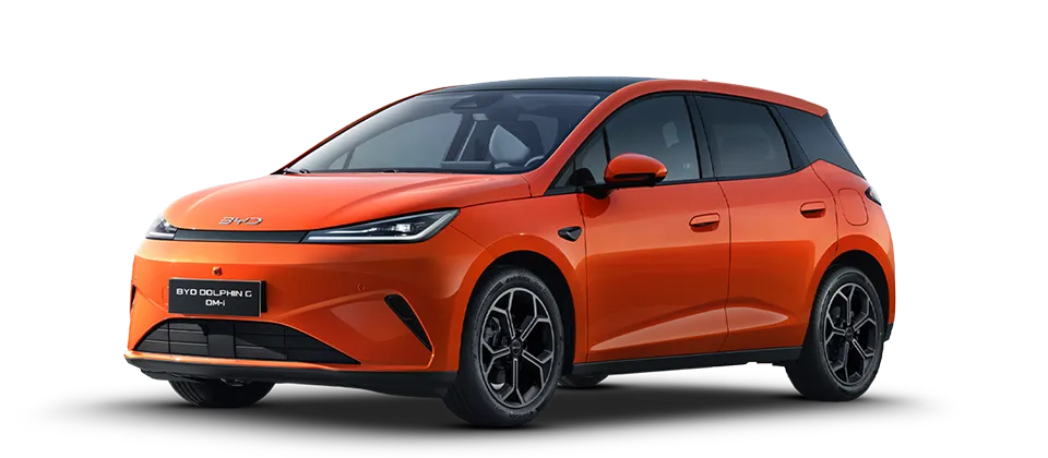 Wybierz kolor BYD